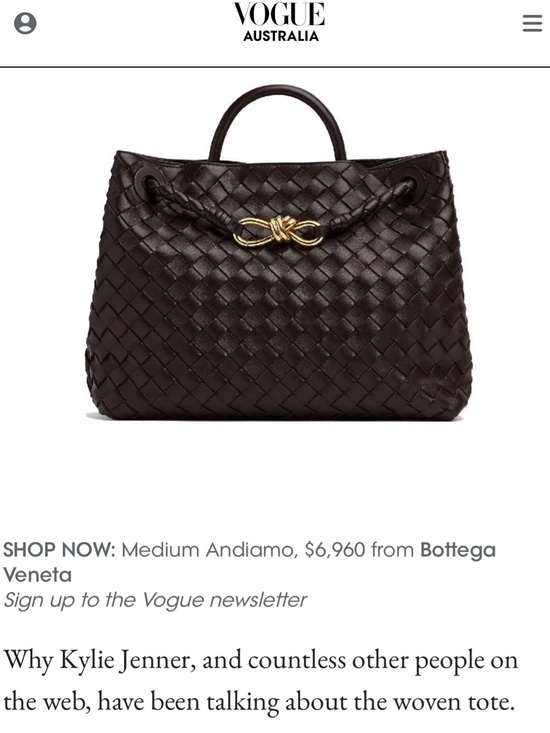 Bottega Veneta Handbags - BOTTEGA VENETA East West Andiamo silver hardware brand new intricato